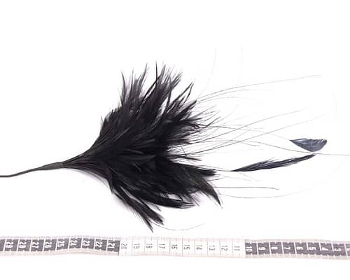 Craft & Millinery Supplies -- Trish Millinery- black feather bunch