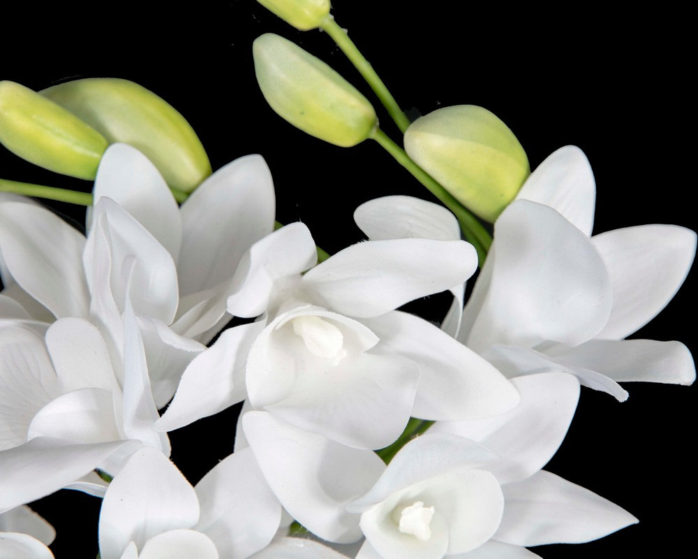 Exclusive white flower fascinator headband by Cupids Millinery - Hats From OZ Exclusive white flower fascinator headband by Cupids Millinery - Image 3