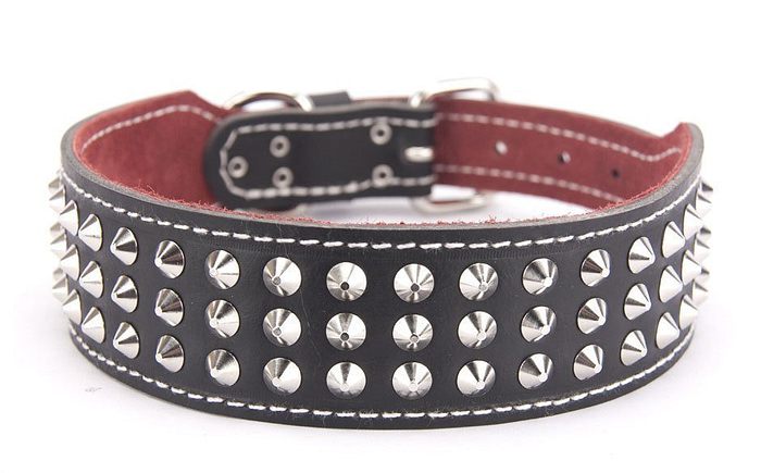 Genuine black leather dog collar with 3 rows of studs