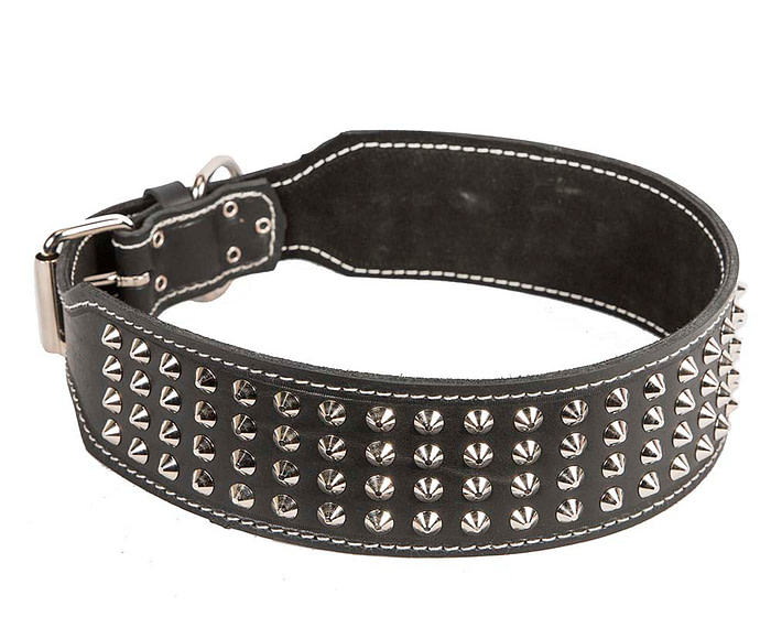 Genuine leather dog collar with 4 rows of studs