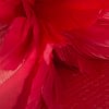 Red boater hat with feathers by Max Alexander - Image 5