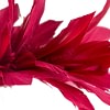 Burgundy feather bunch fascinator by Max Alexander - Image 3