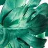 Large green leaves racing fascinator by Max Alexander - Image 3