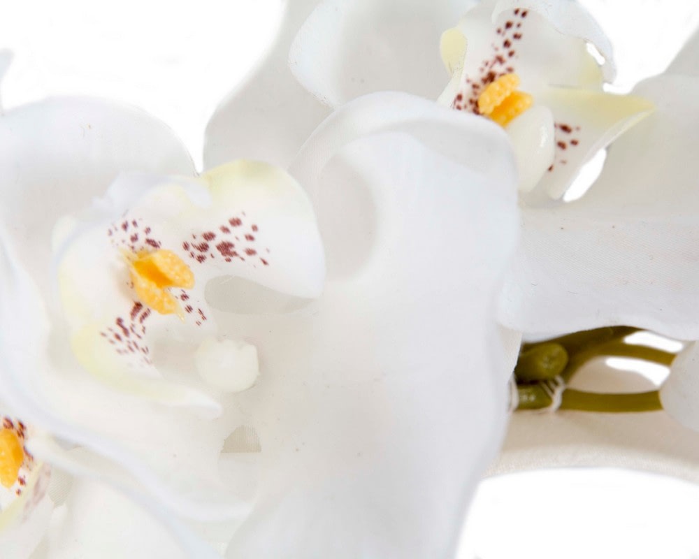 Realistic white orchid flower headband by Fillies Collection - Fascinators Online Realistic white orchid flower headband by Fillies Collection - Image 3