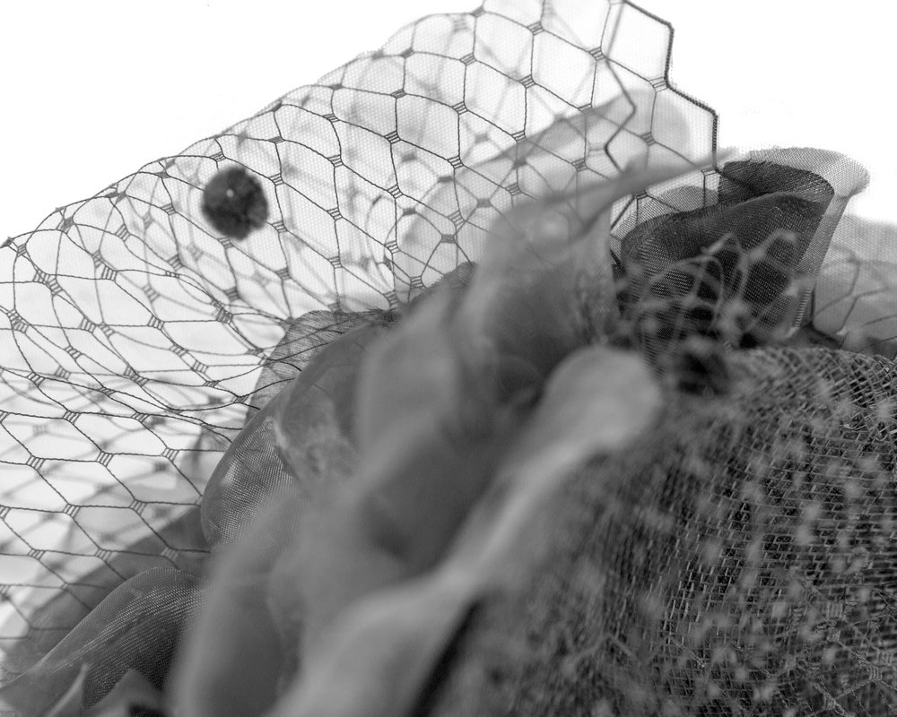 Black racing fascinator with flowers and face netting by Fillies Collection - Fascinators Online Black racing fascinator with flowers and face netting by Fillies Collection - Image 3