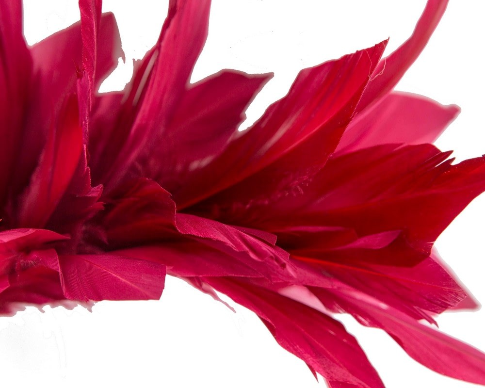 Burgundy feather bunch fascinator by Max Alexander - Image 3