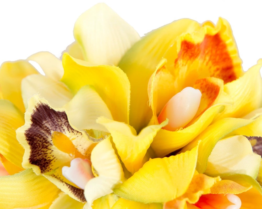 Floral Yellow Fascinator - Max Alexander - Image 3