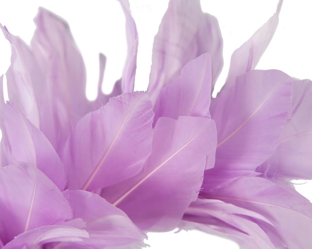 Lilac feather bunch fascinator by Max Alexander - Fascinators Online Lilac feather bunch fascinator by Max Alexander - Image 3