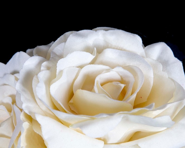 Max Alexander Graceful Cream Flower Headband - Image 3