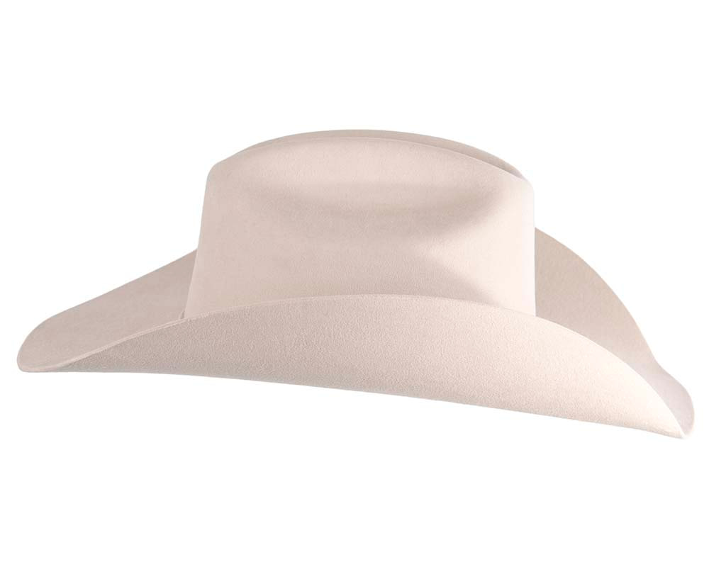 Stetson Colorado Western Cowboy Hat - Image 4