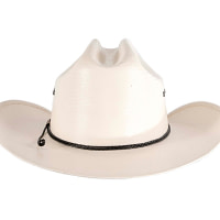 Stetson Dakota Straw Cowboy Hat - Image 7