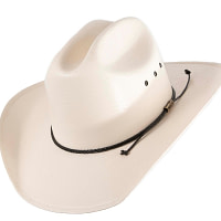 Stetson Dakota Straw Cowboy Hat - Image 2