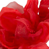 Large red flower headband fascinator by Fillies Collection - Image 3