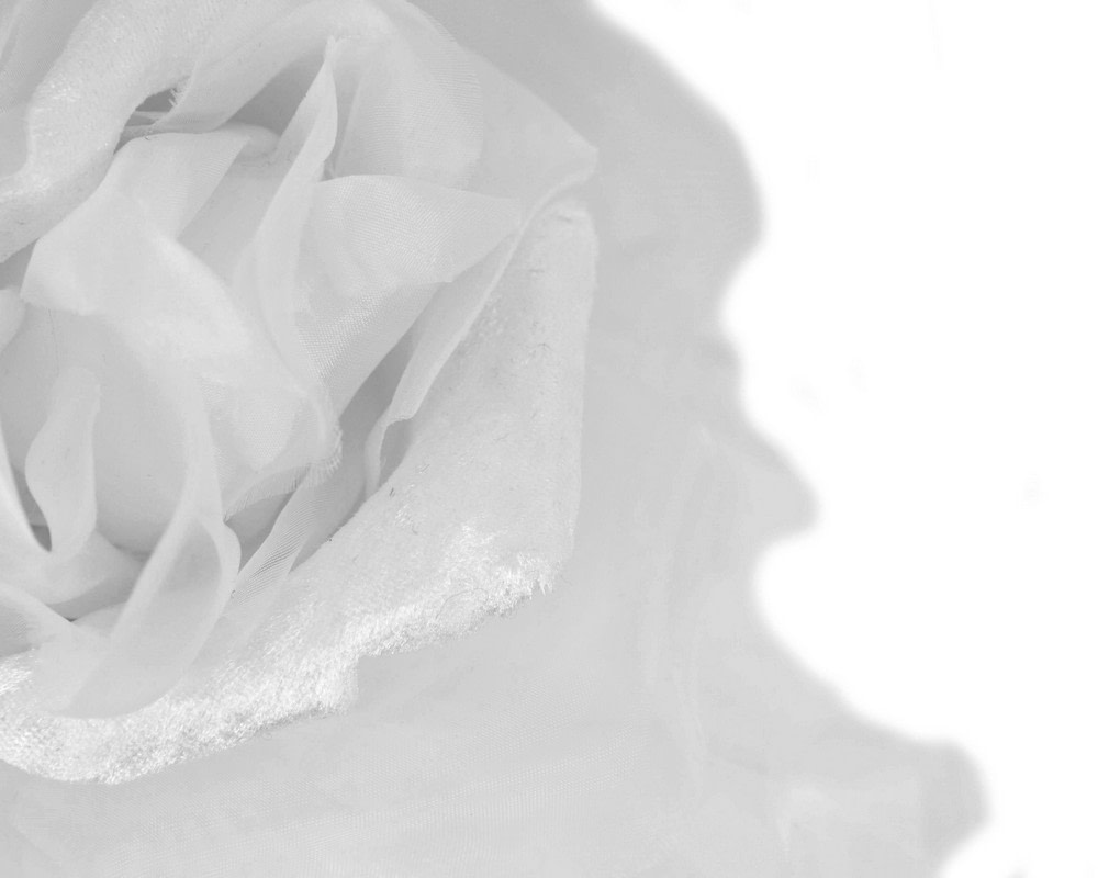 Large white silk flower fascinator by Fillies Collection - Image 3