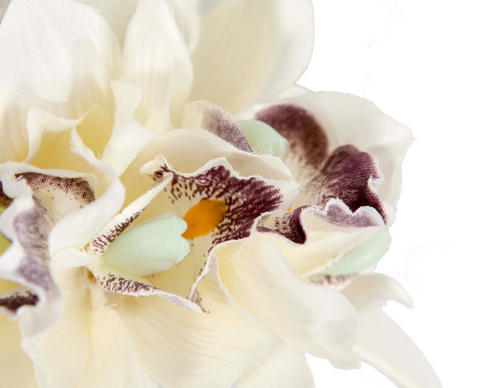 Elegant Floral Fascinator in Cream - Max Alexander - Image 3