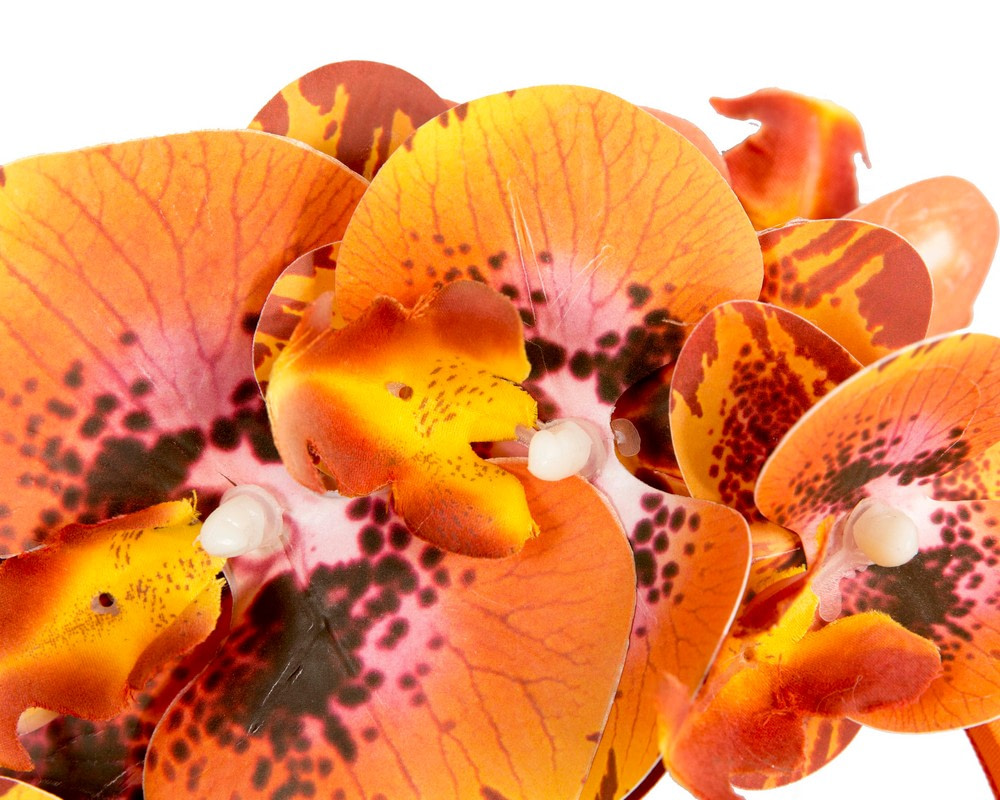 Bespoke burnt orange orchid flower headband by Cupids Millinery - Hats From OZ Bespoke burnt orange orchid flower headband by Cupids Millinery - Image 3